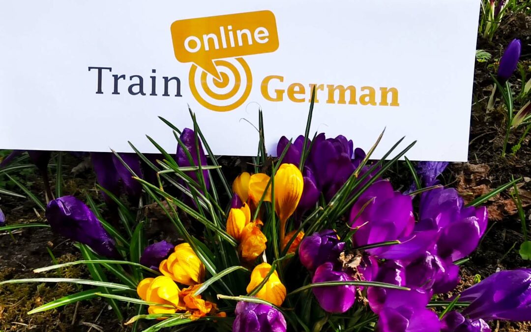 German taster lesson | Schnupperstunde on ZOOM | 2022-03-18 | Accusative? Dative? – finally got it! | FREE