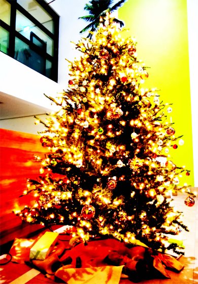 Weihnachtsbaum - Weihnachtsgutschein 2022